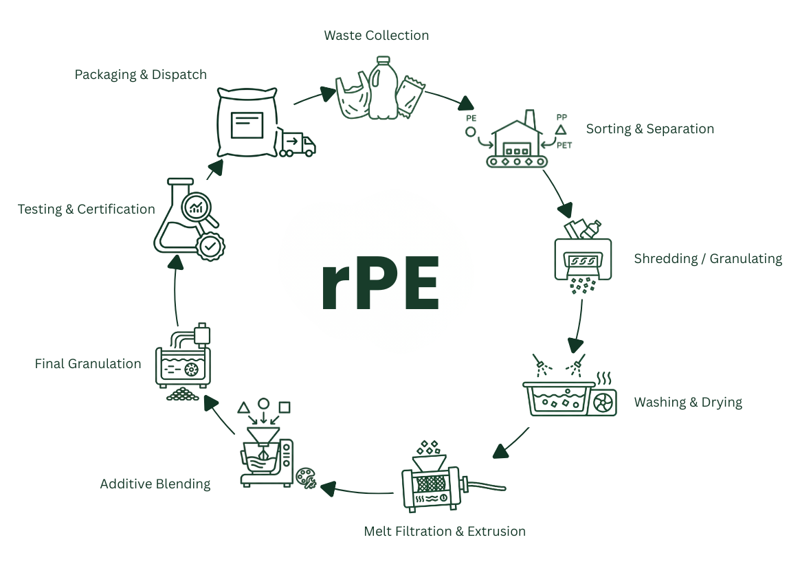 The Circular Process Behind Our PCR PP
