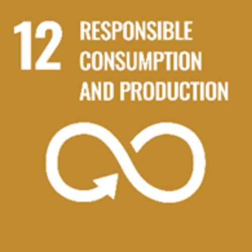 Goal 12 — Responsible Consumption and Production